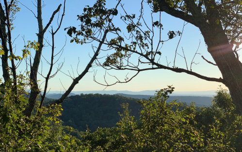 A scenic view of mountains in the distance, framed by trees and foliage under a clear sky.
