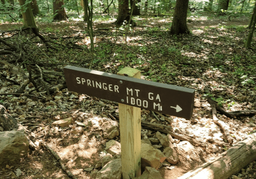 Trail sign pointing to Springer Mountain, Georgia, with a distance of 1000 meters, surrounded by a forested area.