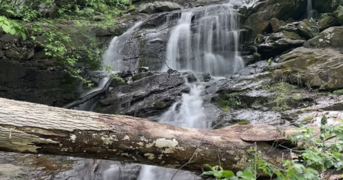 A serene waterfall cascades over rocky terrain, with a fallen log in the foreground and lush greenery surrounding the scene.