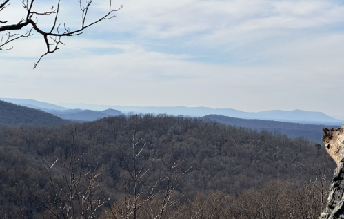 A panoramic view of rolling hills and mountains under a cloudy sky, with bare trees in the foreground.