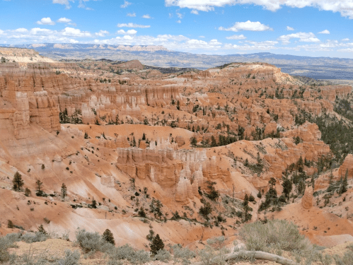 A panoramic view of a canyon with orange rock formations, trees, and a blue sky with scattered clouds.