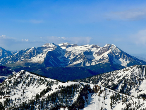 Snow-capped mountains under a clear blue sky, with green valleys and rugged terrain in the foreground.