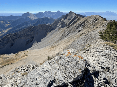 A rocky mountain ridge with a clear blue sky and distant peaks in the background, showcasing rugged terrain.