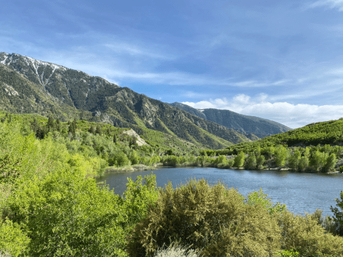 A serene landscape featuring a calm lake surrounded by lush greenery and mountains under a blue sky with clouds.