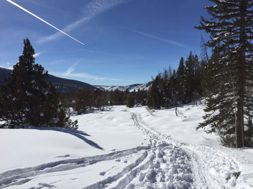 A snowy landscape with a clear blue sky, featuring a winding path through the snow and trees in the background.