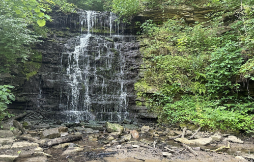 A serene waterfall cascading down rocky layers, surrounded by lush green foliage and scattered stones.