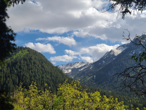 A scenic view of mountains with snow-capped peaks, lush green trees, and a blue sky dotted with clouds.