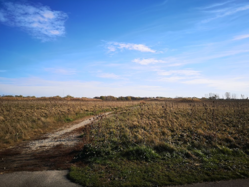 A wide, open landscape with a dirt path winding through dry grass under a blue sky with scattered clouds.