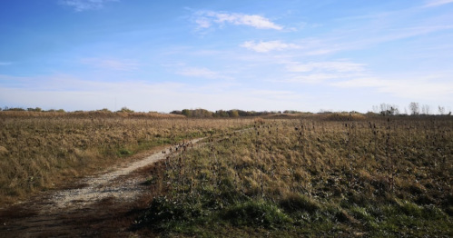 A winding dirt path through a grassy field under a clear blue sky. Sparse trees line the horizon.