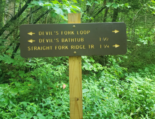 Trail sign in a forest, indicating directions to Devil's Fork Loop, Devil's Bathtub, and Straight Fork Ridge Trail.
