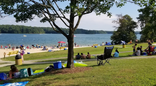 A sunny beach scene with people relaxing on the grass, enjoying the water, and colorful umbrellas in the background.