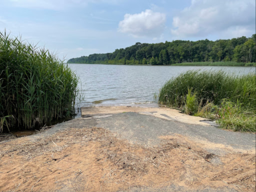 A serene lake view with grassy banks and a sandy path leading to the water, surrounded by trees under a cloudy sky.