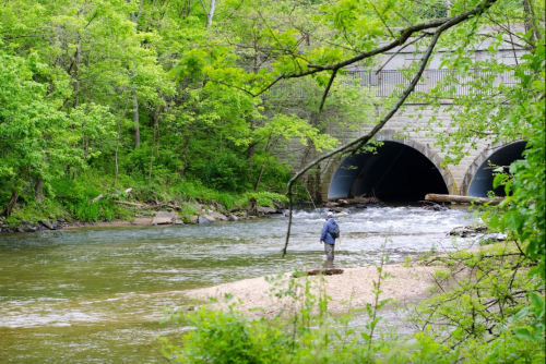 A person stands by a river near a stone tunnel, surrounded by lush green trees and a peaceful natural setting.