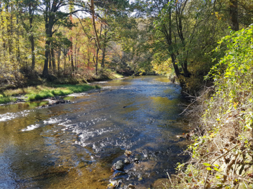 A serene river flows through a forest with colorful autumn foliage lining the banks.