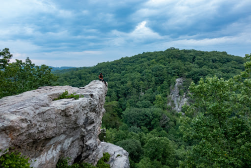 A person stands on a rocky outcrop overlooking a lush green forest under a cloudy sky.