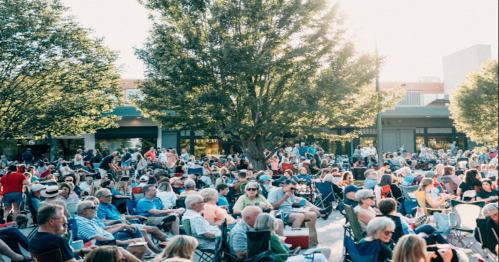 A large crowd of people sitting in chairs under trees at an outdoor event, enjoying a sunny day.