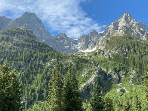 Majestic mountains rise above a lush green forest, with rocky peaks and patches of snow under a blue sky.