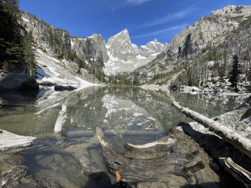 A serene mountain lake reflects towering peaks and trees, with logs partially submerged in clear water.