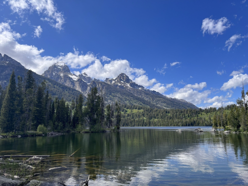A serene lake surrounded by lush trees and majestic mountains under a bright blue sky with fluffy clouds.