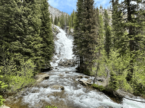 A cascading waterfall surrounded by lush green trees and rocky terrain under a clear blue sky.