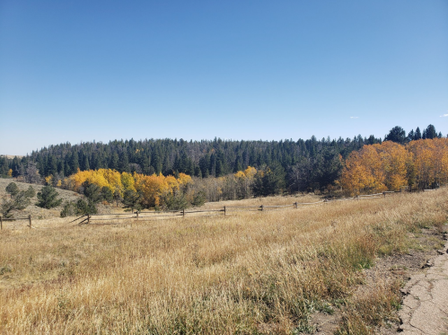 A scenic landscape featuring a grassy field, a wooden fence, and trees with autumn foliage under a clear blue sky.