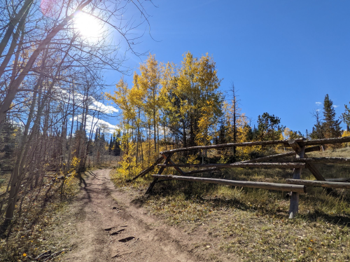 A sunny trail lined with trees displaying autumn colors and a wooden fence under a clear blue sky.