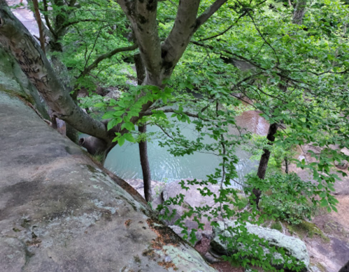 A serene view of a green river surrounded by lush trees and rocky terrain.