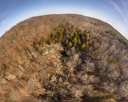 Aerial view of a forested landscape with a mix of bare trees and evergreens under a clear blue sky.