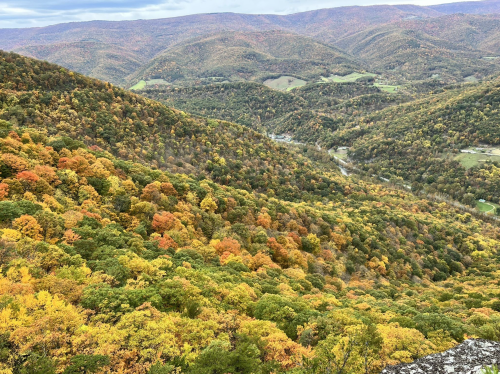 A panoramic view of rolling hills covered in vibrant autumn foliage, showcasing shades of orange, yellow, and green.
