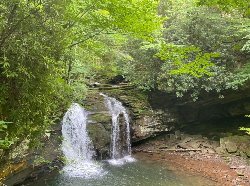 A serene waterfall cascades over rocks into a calm pool, surrounded by lush green foliage and trees.