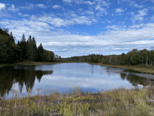 A serene lake surrounded by trees under a blue sky with scattered clouds, reflecting the landscape.