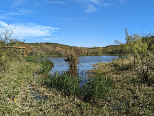 A serene pond surrounded by lush greenery and trees under a clear blue sky.