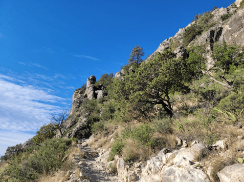 A rocky trail winds up a hillside with sparse trees and a clear blue sky above.