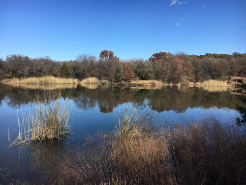 A serene lake surrounded by tall grasses and trees, reflecting a clear blue sky and autumn foliage.
