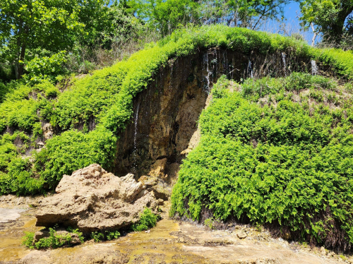 A lush green hillside with small waterfalls cascading down rocky terrain under a clear blue sky.