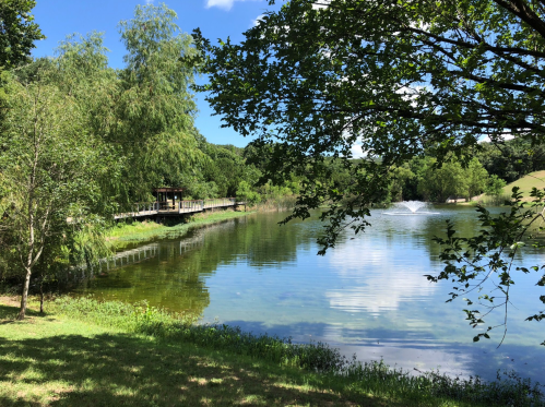 A serene pond surrounded by trees, with a fountain and a wooden deck in the background under a clear blue sky.