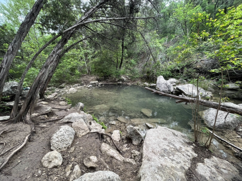 A serene natural scene featuring a clear pond surrounded by rocks and trees in a lush green setting.