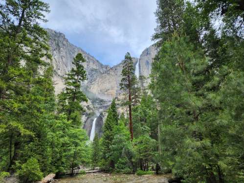 A lush forest with tall trees frames a waterfall cascading down rocky cliffs under a cloudy sky.