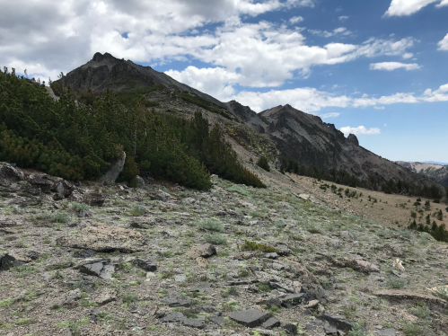 A rocky landscape with sparse vegetation, leading to rugged mountains under a partly cloudy sky.