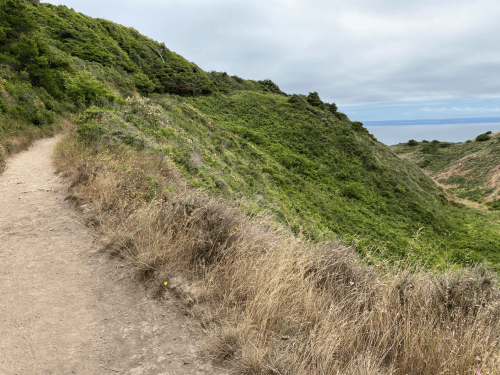 A dirt path winds along a green hillside, overlooking a calm ocean under a cloudy sky.