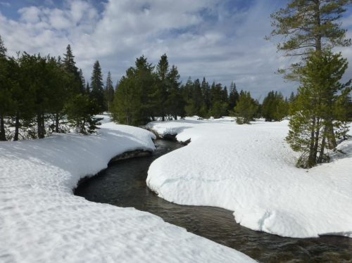 A winding stream flows through a snowy landscape, surrounded by evergreen trees under a partly cloudy sky.