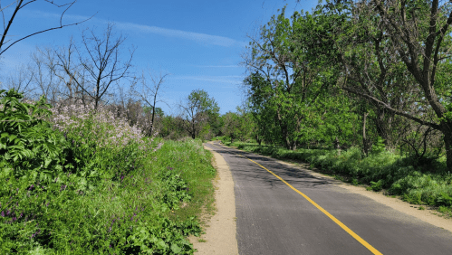 A winding path through a lush green landscape with trees and wildflowers under a clear blue sky.