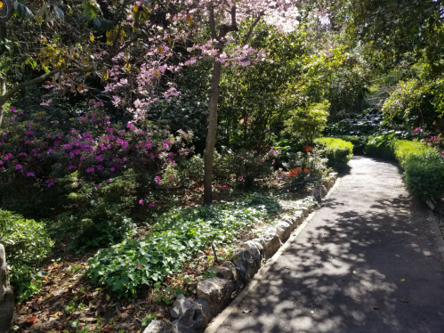 A serene garden path lined with vibrant flowers and lush greenery, dappled sunlight filtering through the trees.