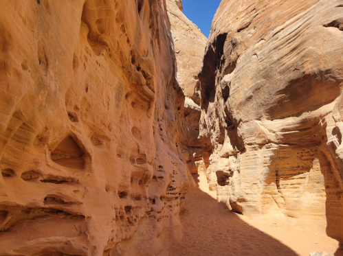Narrow canyon with smooth, layered sandstone walls and a sandy floor under a clear blue sky.