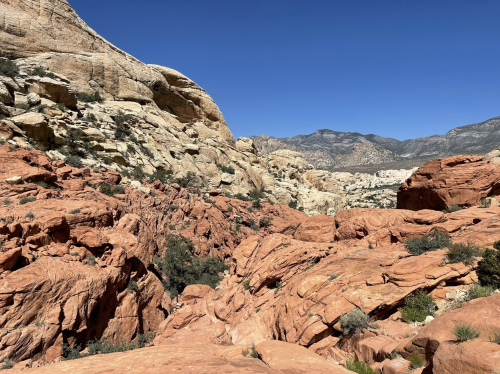 A scenic view of red rock formations and rugged terrain under a clear blue sky. Mountains are visible in the background.