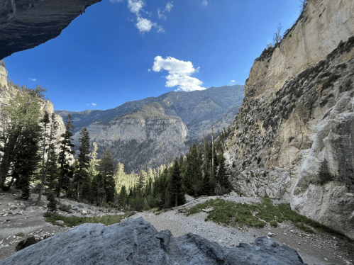 A scenic view of a mountainous landscape with trees, rocky cliffs, and a blue sky dotted with clouds.