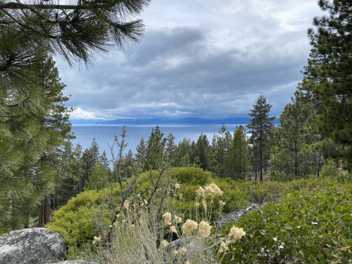 A scenic view of Lake Tahoe surrounded by lush greenery and pine trees under a cloudy sky.