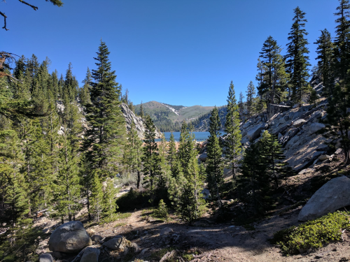 A scenic view of a lake surrounded by tall pine trees and rocky terrain under a clear blue sky.