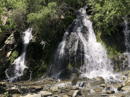 A serene waterfall cascading over rocks, surrounded by lush greenery and sunlight filtering through the trees.