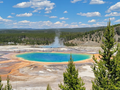 A vibrant blue hot spring surrounded by colorful mineral deposits and trees, with a geyser erupting in the background.